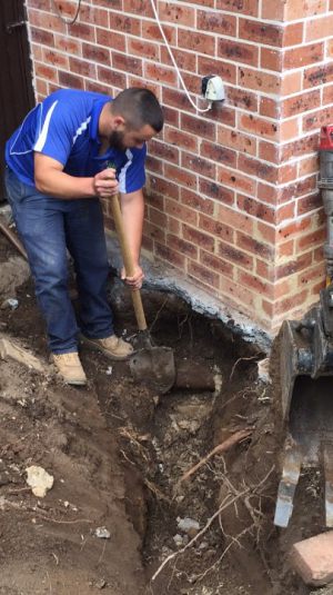 rhino plumber