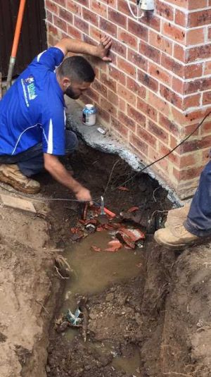 rhino plumber
