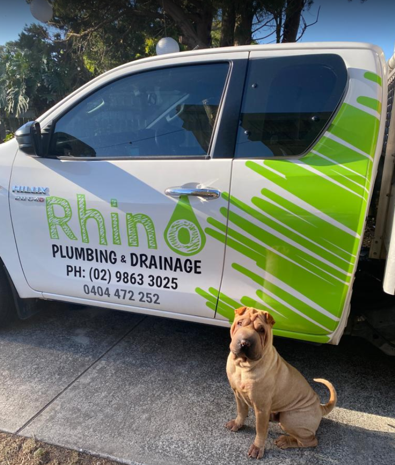 rhino plumber